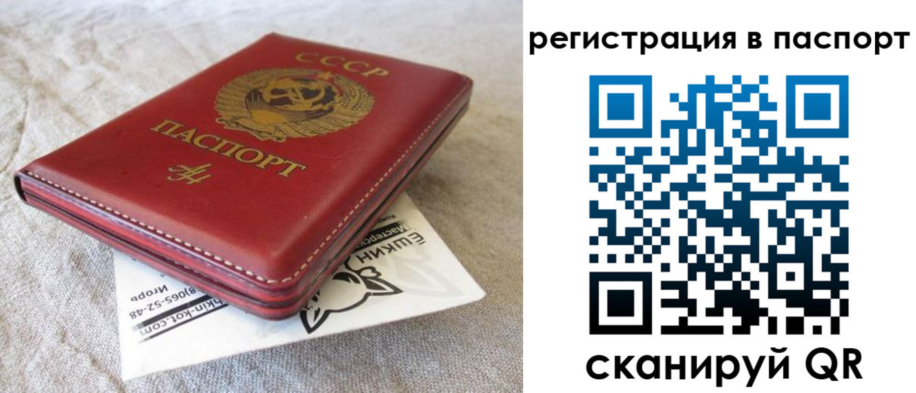 где прописаться в Вологде